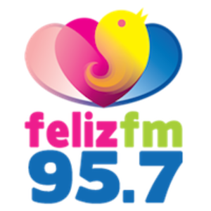 Rádio Feliz 95.7 FM/PI